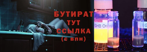 МДПВ Бородино