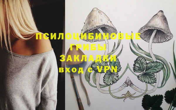 дурь Белоозёрский