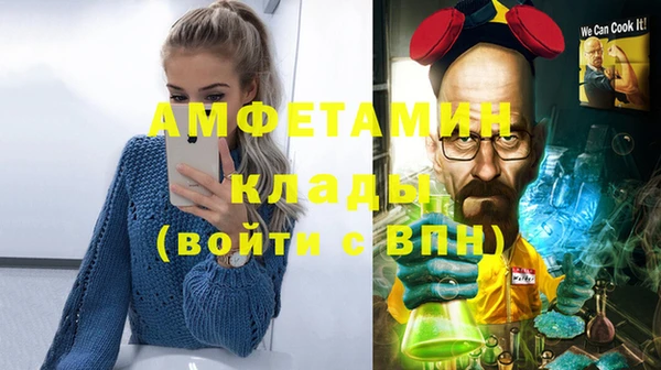 молекула духа Богородск