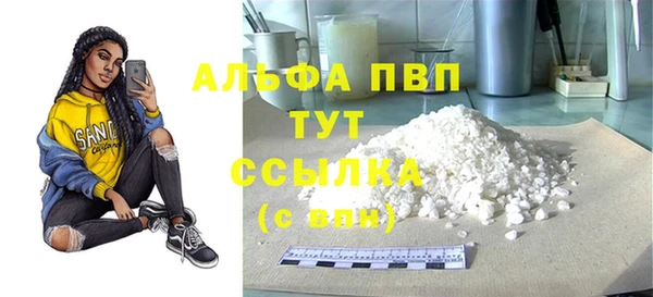 МДПВ Бородино
