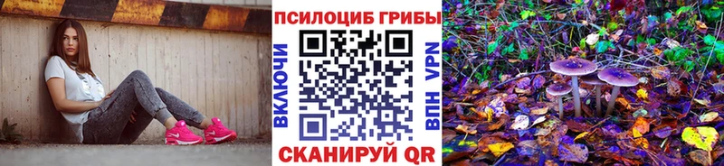Псилоцибиновые грибы прущие грибы  Вельск 